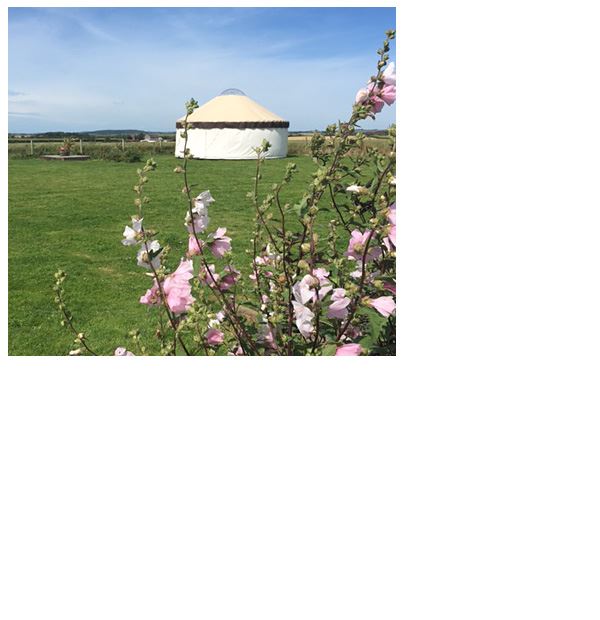 Anglesey Yurt Holidays
