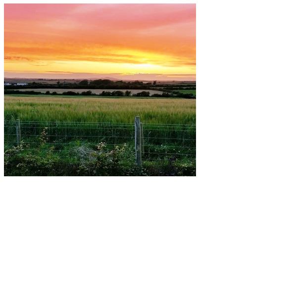 Anglesey Yurt Holidays