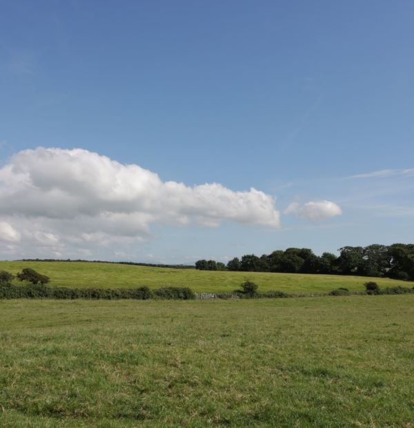 Penyrorsedd Farm